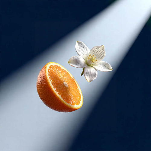 Orange and white flower on a blue and gray gradient background