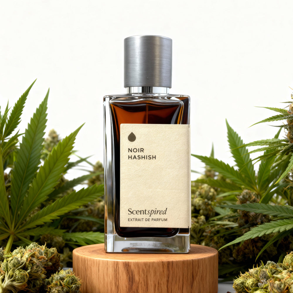 Noir Hashish