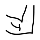 Inner elbow detail